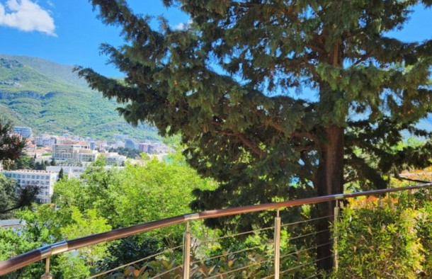 Продаж квартир в Чорногорії в Будві bd011.1bd_s8677, фото 11