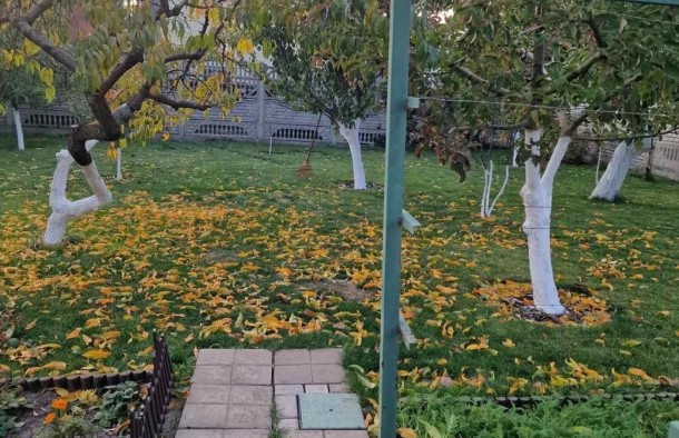 Дім майбутнього енергоефективність і комфорт у кожній деталі, фото 11