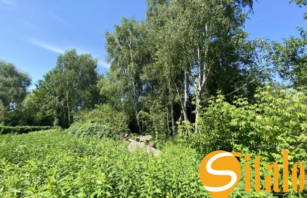 Ділянка з виходом до водойми в затишному місці Романків, СТ Барвінок, Новообухівський напрямок, 14 соток., фото 23