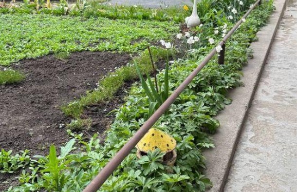 Продаж  Будинок  Музична, Комунарський, Запоріжжя, фото 14