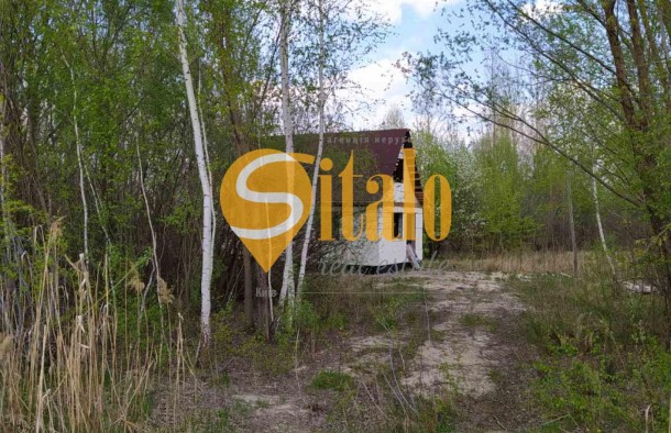 Продаж ділянки у березовому гаю біля річки Козинка Козин КончаЗаспа, Рудики, Плюти., фото 13