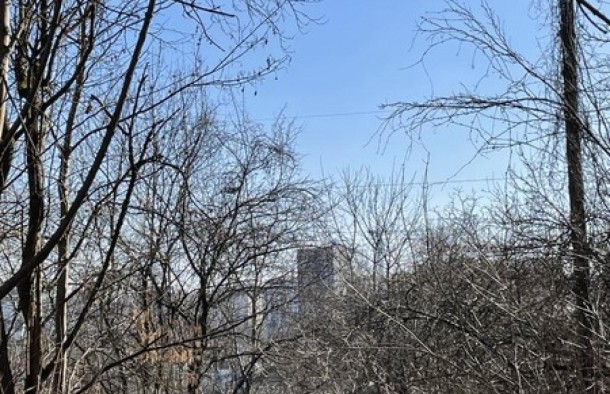 Продаж Земельна ділянка під садівництво  дача, забудова  м. Львів, рн Голоско, фото 4