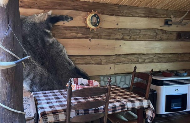 Продаж будинку 30сот с. Княждвір Коломийський район, фото 18