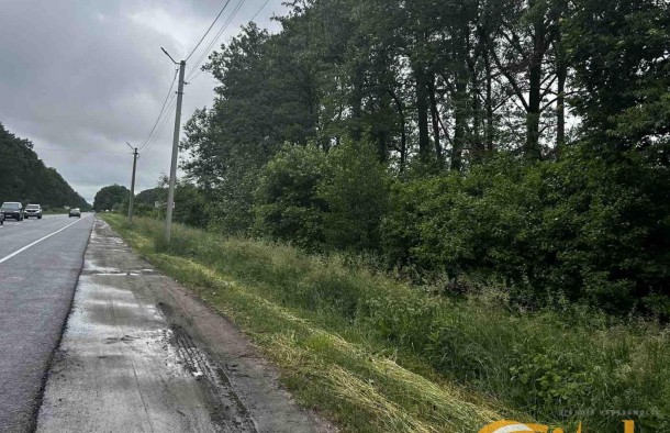 Земельна ділянка 3 гектари в Бартатові, Львівська область. Львів., фото 4