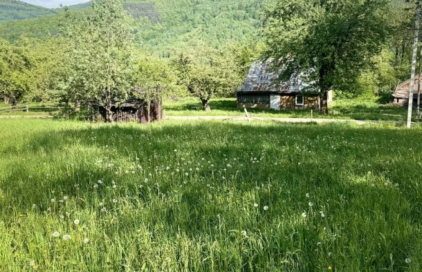 Земельна ділянка 54 сотихм.Яремче, фото 4
