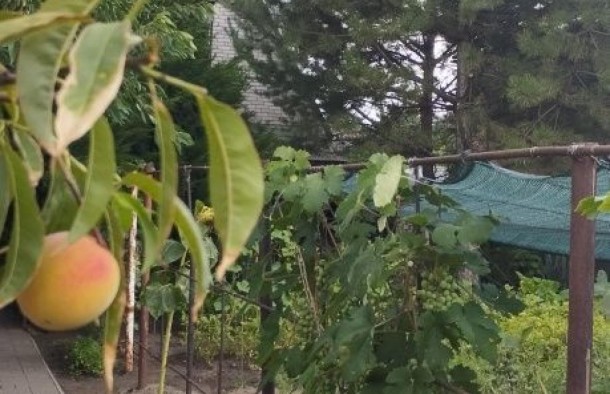 Сучасний будинок під ключ із гаражем та авторським садом., фото 8