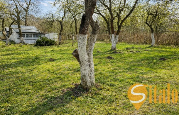 Продаж Земельна ділянка під садівництво  дача, забудова  м. Львів, вулиця Шевченка, фото 1
