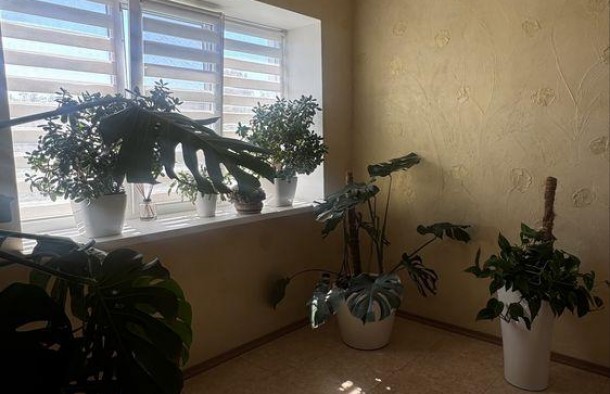Оренда автономного будинку в Бортничах  біля озера, Дарницький район., фото 5
