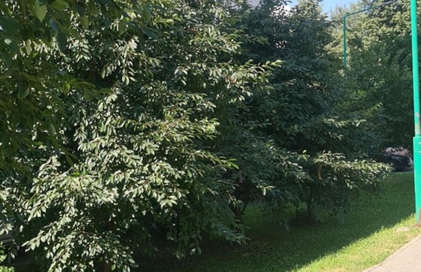 Продаж 3к квартири 115 кв. м  на ул. Академіка Ющенка 5, фото 15