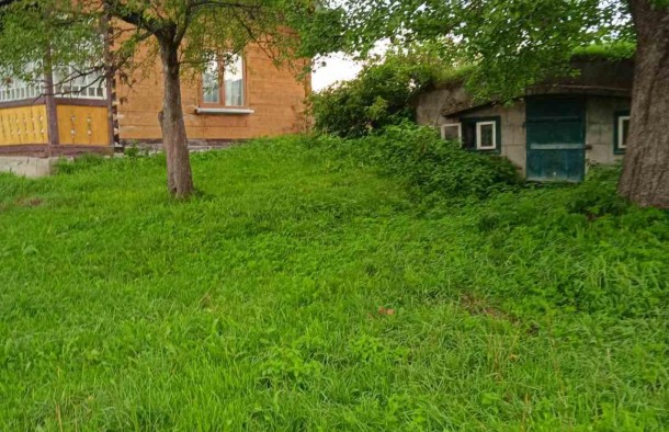 Будинок 25 сотокс.Середній Березів  Косівського району, фото 2