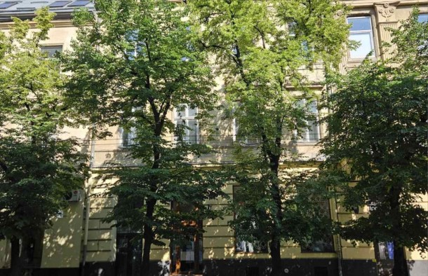 2к квартира, австрійський будинок, ремонт, центр, вул. С. Стрільців, місто Львів., фото 14