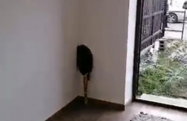 Триповерховий котедж за 20 хвилин від Львова вулиця Куземського, Ременів, фото 5