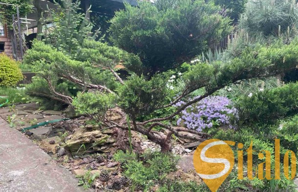 Ваш персональний рай в Олександрівському районі, фото 7