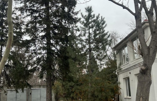 Продаж будинку на правому березі, Дніпровський район, фото 4