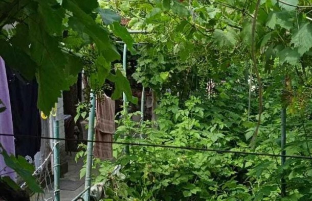 Два будинки на одній ділянці, фото 20