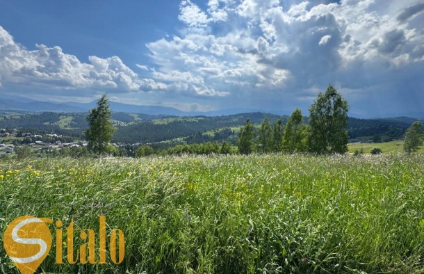 Продається Земельна ділянка в Яблуниці, фото 18