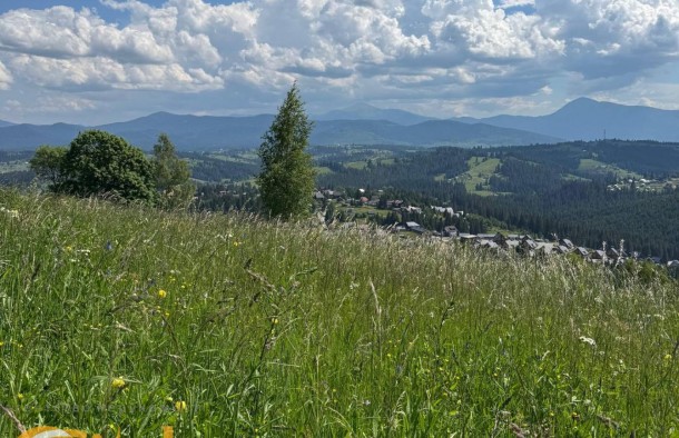 Продається земеля  в Яблуниці  Карпати, фото 7