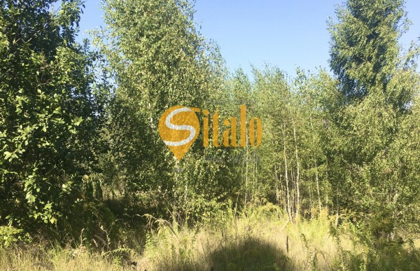 Ділянка з панорамним видом біля лісу в Лісниках, поруч Equides Club, Новообухівський напрямок, 14 соток., фото 6