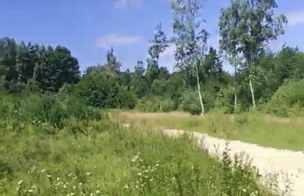 Земельна ділянка під забудову, Липники, фото 4