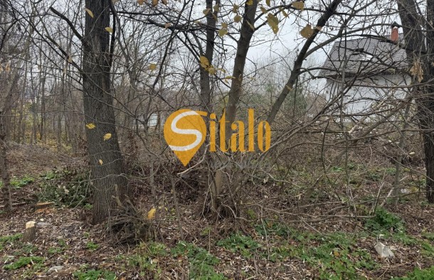 25 соток в тихому місці. Вишеньки, поруч КМ Золоче. Без, фото 3