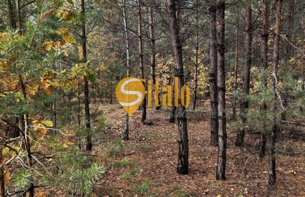 Простора 2кімнатна квартира в ЖК Лісова казка 2., фото 9