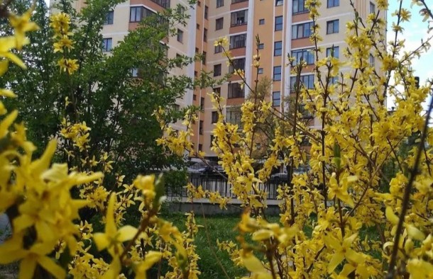 на паузі2 кімнатна квартира з ремонтом у новобудові по вулиці Городоцька, місто Львів, фото 8