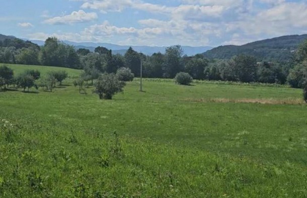 Видова земельна ділянка 21сотих с.Стопчатів, фото 1