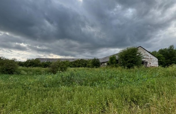 Продаж ферми у с. Никловичі, Самбірський район, Львів, фото 2