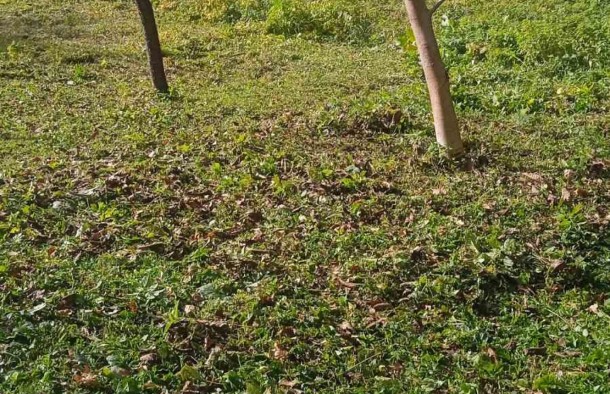 Продаж земельної ділянкиПавлівка, фото 1