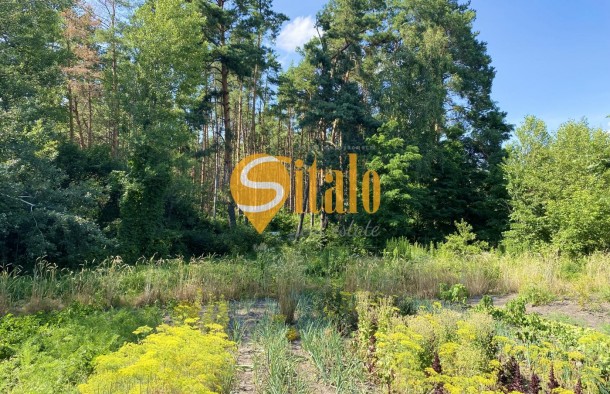 Чудова ділянка біля Блакитного озера та лісу в СТ Арсеналець, Підгірці, Новообухівський напрямок, 21,71 сотка., фото 3