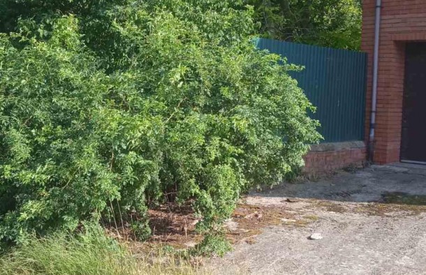 Продаж, будинок, Вахнянина, Львів, фото 21