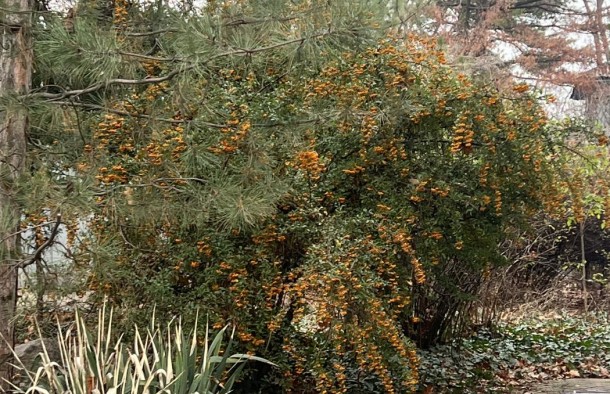 Продаж будинку на правому березі, Дніпровський район, фото 5