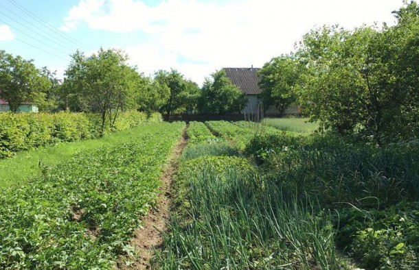 Будинок житловийс.Сідлище Коломийський район, фото 8