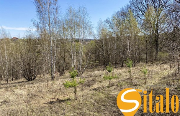 Ділянка з панорамним видом біля Чернечого лісу та озера Безодня в Лісниках, поруч Equides Club, Новообухівський напрямок, 14 соток., фото 5