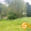 Земельна ділянка в мальовничому селі Підгірці, Новообухівська траса, 25 сот, фото 2