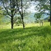Земельна ділянка 54 сотихм.Яремче, фото 10