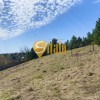 Ділянка з гарним краєвидом біля Обсерваторії в Лісниках, поруч Equides Club, Новообухівський напрямок, 10 соток., фото 15