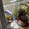 3 кімнатна квартира, ремонт, Вул. М.Скорика Чайковского, Львів, фото 10