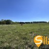 12 соток під будівництво, с. Лісне, біля озера, фото 1