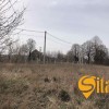 Продажа земельного участка сельскохозяйственного назначения на ул. Замковая, площадь 34 сотки  ID 32505255, фото 3