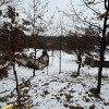 Земельна ділянка з будинком в с.Посіч 2625884601020010910, фото 9