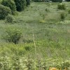 Продаж землі ОСГ, Сокільники, Львів, фото 2