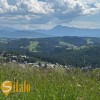 Продається Земельна ділянка в Яблуниці, фото 10