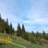 Продається  Земля в  Яблуниці, фото 3