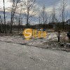 Ділянка на півострові біля озера Святище, 12 соток, Осокорки, метро Славутич 6 км, фото 4