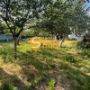 Ділянка 6.1 сотка, 57 садова, Осокорки, метро Славутич 2 км, фото 6