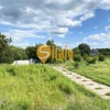 Велика ділянка біля КМ Сонячна долина в Романкові, Новообухівська траса, 60 сот., фото 31