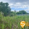 Земельна ділянка в мальовничому селі Підгірці, Новообухівська траса, 25 сот, фото 4