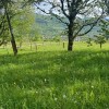 Земельна ділянка 54 сотихм.Яремче, фото 18