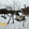 Земельна ділянка з будинком в с.Посіч 2625884601020010910, фото 2